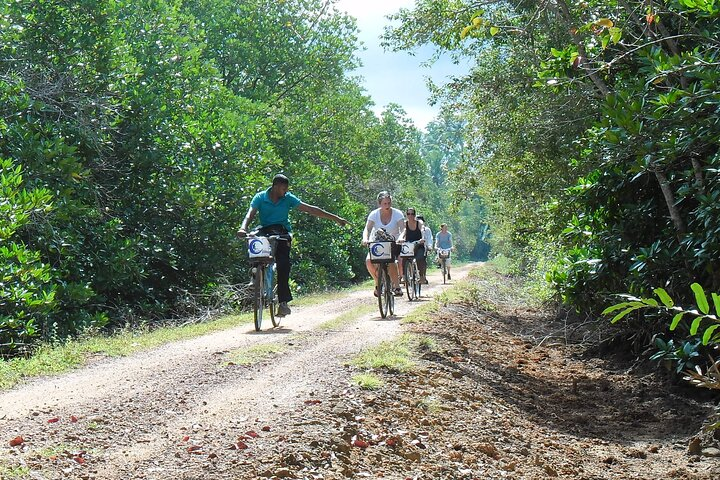 Half-Day Lagoon and Village Cycling Tour in Galle - Photo 1 of 15